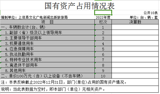國有資產(chǎn)占用情況表