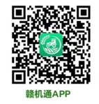395081154